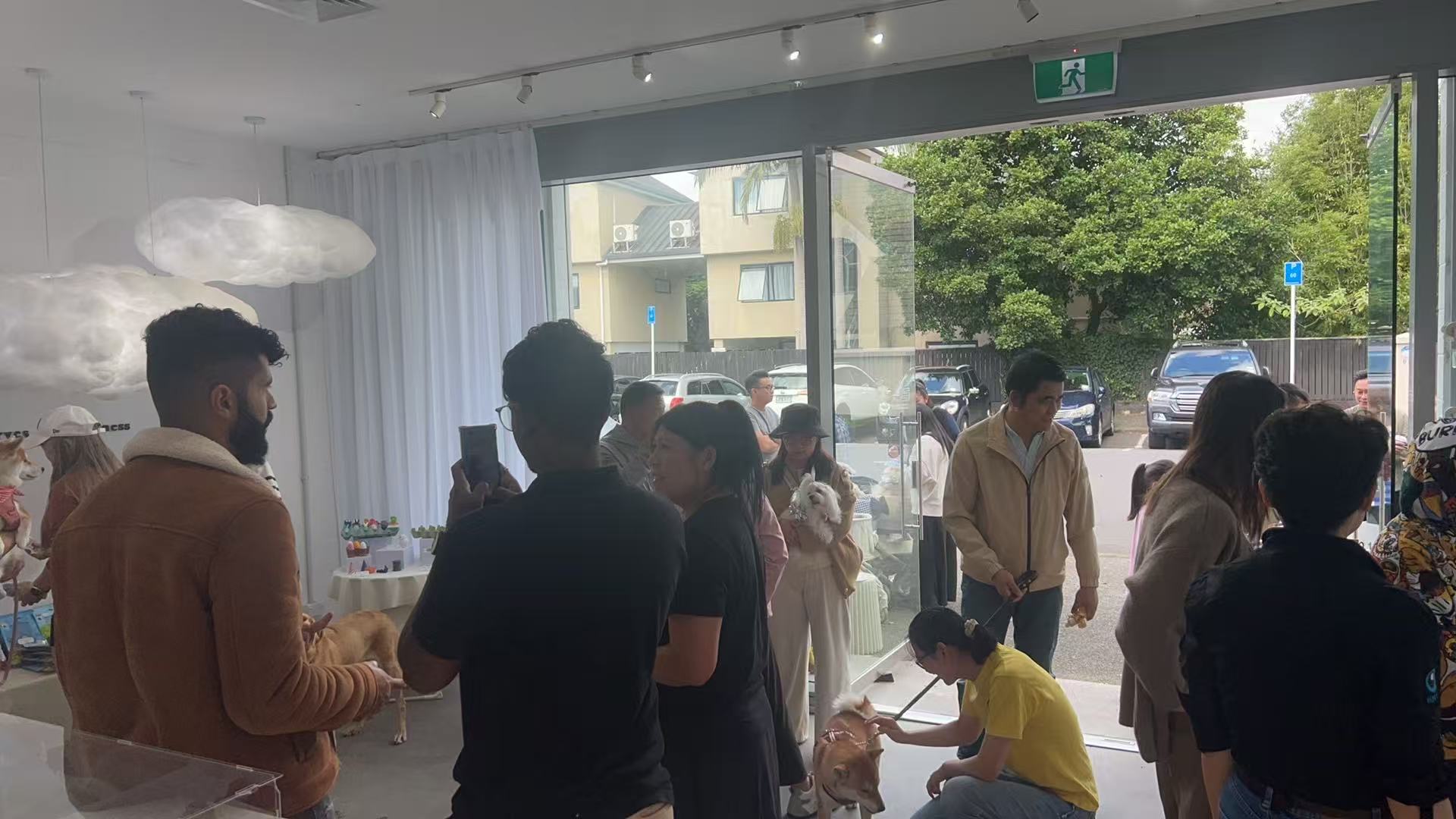 Community and pets gathering at FUGITOTO