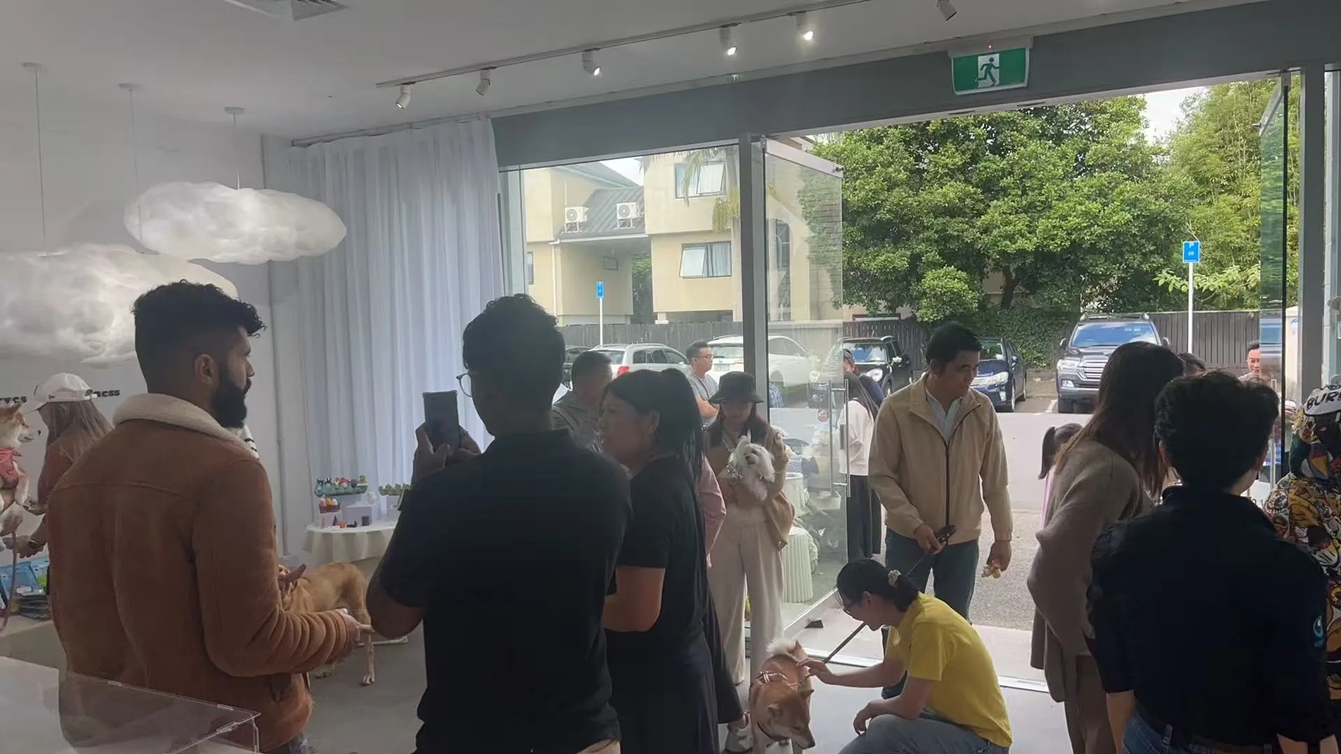 Community and pets gathering at FUGITOTO